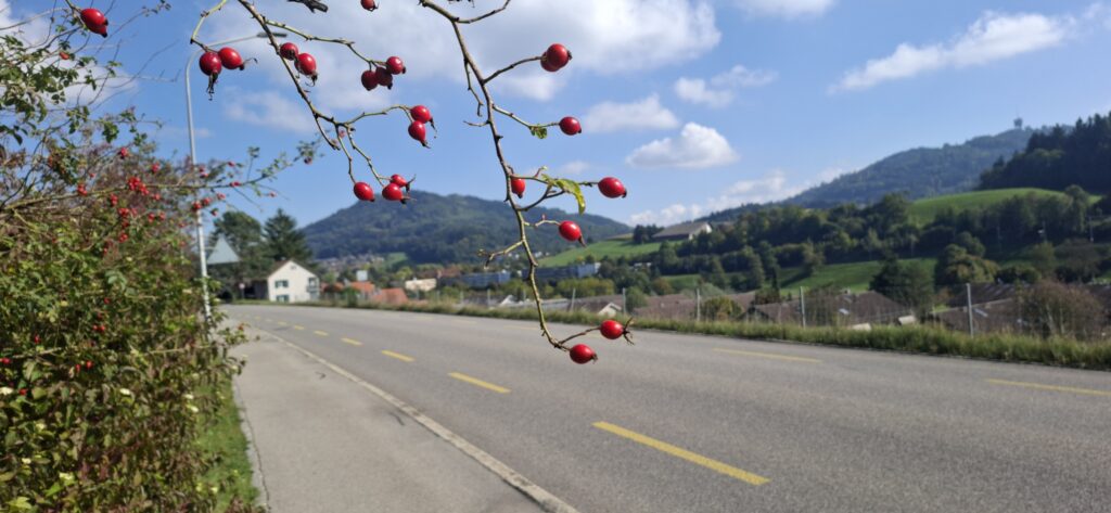 Köniz'e doğru giderken.