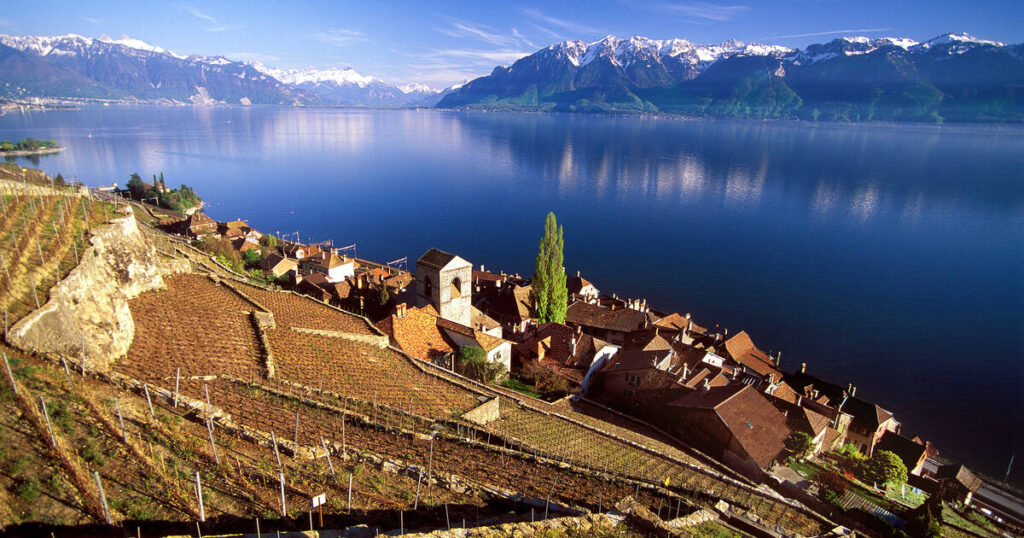 Terraced vineyards of Lavaux sloping down to Lake Geneva, with rows of grapevines and distant mountains.”