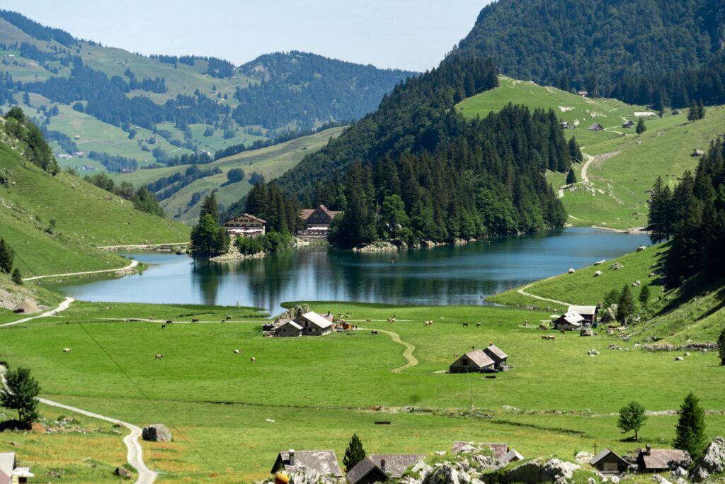 Trail leading through green alpine meadows toward Seealpsee with rugged Alpstein mountains beyond, Appenzell.