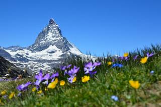 ush green alpine meadows and rugged peaks of the Alpstein in summer, Appenzell, Switzerland.